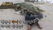 [HOT] The identity of all kinds of animals covering the beaches of northern Spain,신비한TV 서프라이즈 220227
