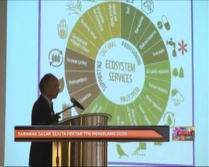 Sarawak sasar sejuta hektar TPA menjelang 2020