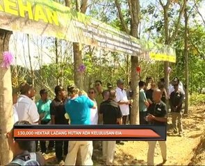 130,000 hektar ladang hutan ada kelulusan EIA