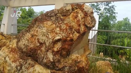 #AWANIJr: Bukit Batu Penyu