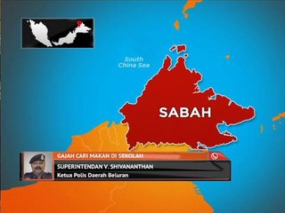 Walaupun gajah ini nampak comel namun…