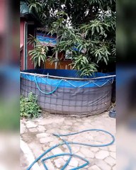 Indahnya pemandangan sore