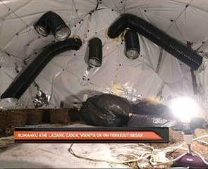 Rumahku kini ladang ganja, wanita UK ini terkejut besar