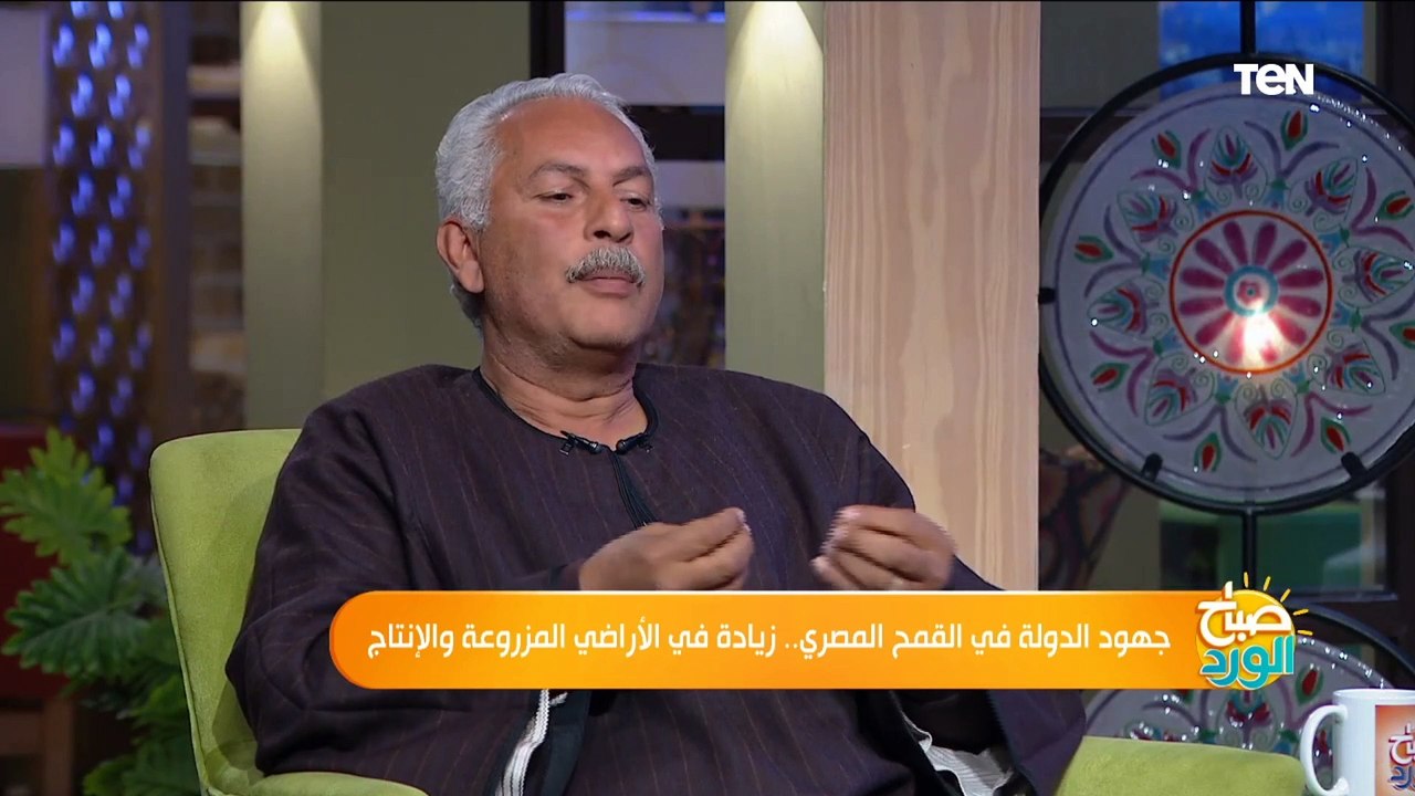 نقيب الفلاحين: لدينا ثلاثة حلول للإكتفاء الذاتي من القمح "وهذا أهمهم"
