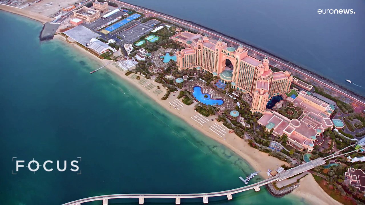 Umweltprojekt in Dubai: Aus Austernschalen werden Riffe