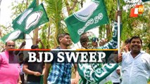 Odisha Panchayat Elections: BJD Heading For Landslide Victory In ZP Elections!