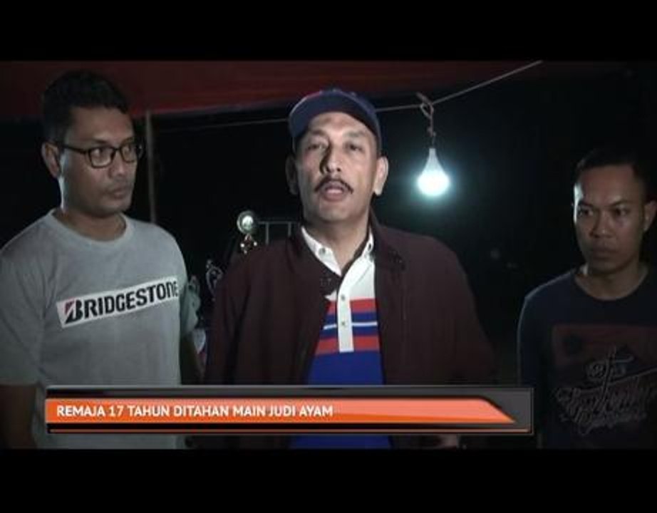 Judi sabung ayam: Remaja 17 tahun antara ditahan