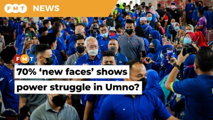 BN Johor line-up puts a face on Umno power struggle