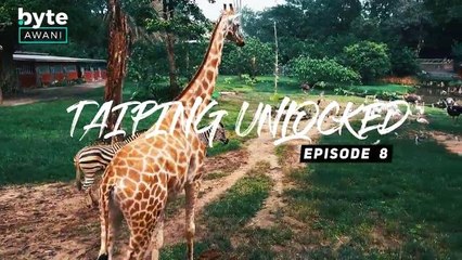 #TaipingUnlocked - Episode 08 - Zoo Taiping & Night Safari