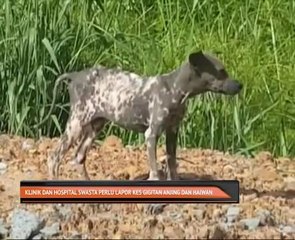Klinik dan hospital swasta perlu lapor kes gigitan anjing dan haiwan