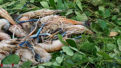 World Cuisine - Cooking Lobster Recipe