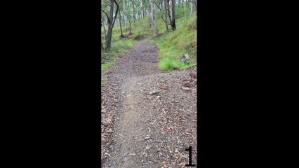 Going to Harry Potter shop in Brisbane 2022