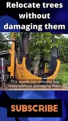 Relocate trees without damaging them