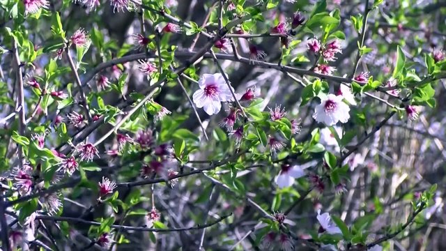 Martigues: la découvrir une ville en marchant