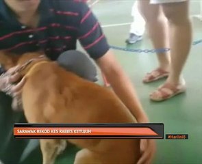 Sarawak rekod kes rabies ketujuh