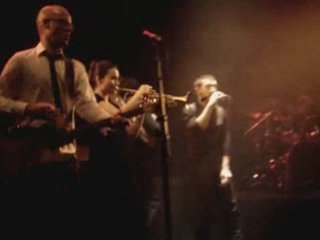 Les blérots de R.A.V.E.L - au Splendid (59)