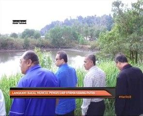 Langkawi bakal muncul pengeluar utama udang putih