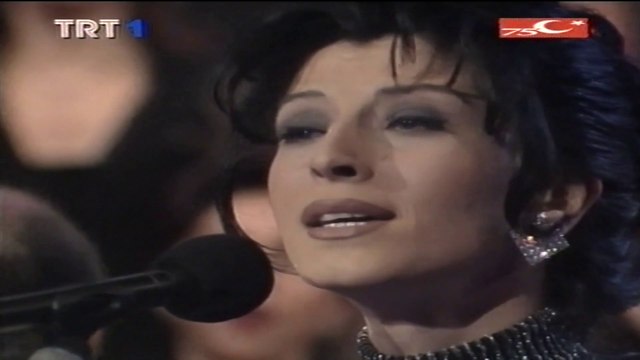 Elif Güreşçi / Bin hüzün çöktü yine gönlüme akşamla benim