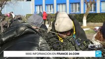 En Kalinovka, Ucrania, voluntarios preparan comida y ayuda para los combatientes