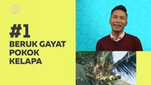 Kompak (Episod 247): Beruk pun gayat!