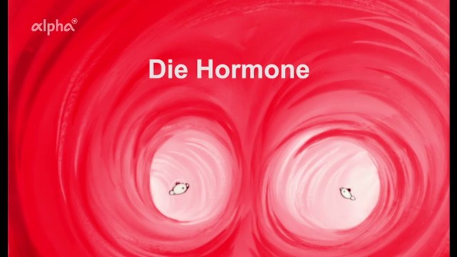 Es war einmal ... das Leben - 23. Die Hormone