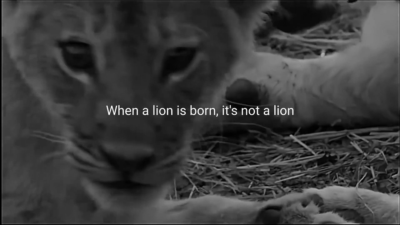 SAVAGE MENTALITY - Motivational Speech