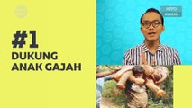 Kompak (Episod 214): Dukung anak gajah