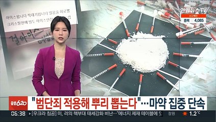 "범단죄 적용해 뿌리뽑는다"…마약 집중단속