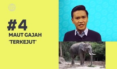Kompak (Episod 194): Maut gajah terkejut & berjudi di pusat beli belah