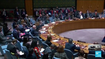 ONU la Russie, isolée, met son veto à une résolution dénonçant son agression de l'Ukraine