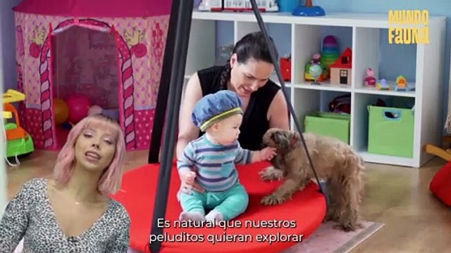 ¿Qué debo hacer para que mi perro no se sienta celoso de mi bebé?