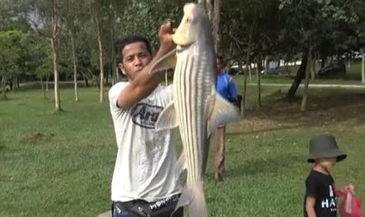 Randuk: Memburu Temoleh