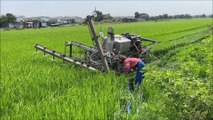Rice plant pruning machine stuck in a rice field in Thailand