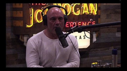 Andrew Huberman Discusses Turkesterone