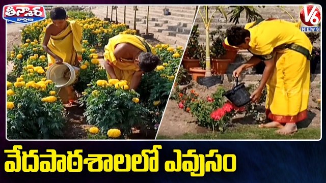 వేదపాఠశాలలో ఎవుసం.. 200 Types Of Plants In Basara _ V6 Teenmaar