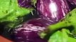Eggplant dumplings | How To Make Eggplant dumplings | Eggplant dumplings Recipe | Baigan Recipe | Rk food shorts