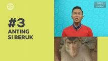 Kompak (Episod 159): Musim banjir, anting si beruk jaga rumah