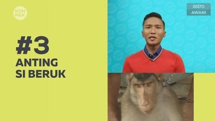 Kompak (Episod 159): Musim banjir, anting si beruk jaga rumah