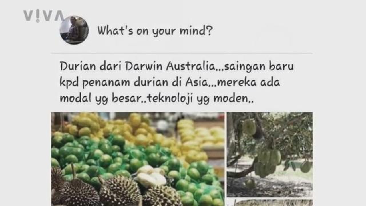 V!VA: Durian Diplomacy and Proton