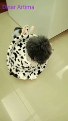 Wearing a cloth