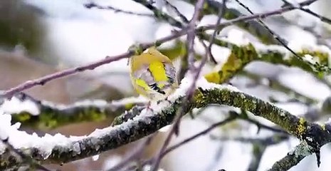 Absurd Planet S01 E07