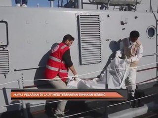 Mayat pelarian di laut Mediterranean dimakan jerung