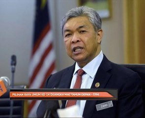 Pilihan Raya Umum ke-14 dijangka Mac tahun depan - TPM