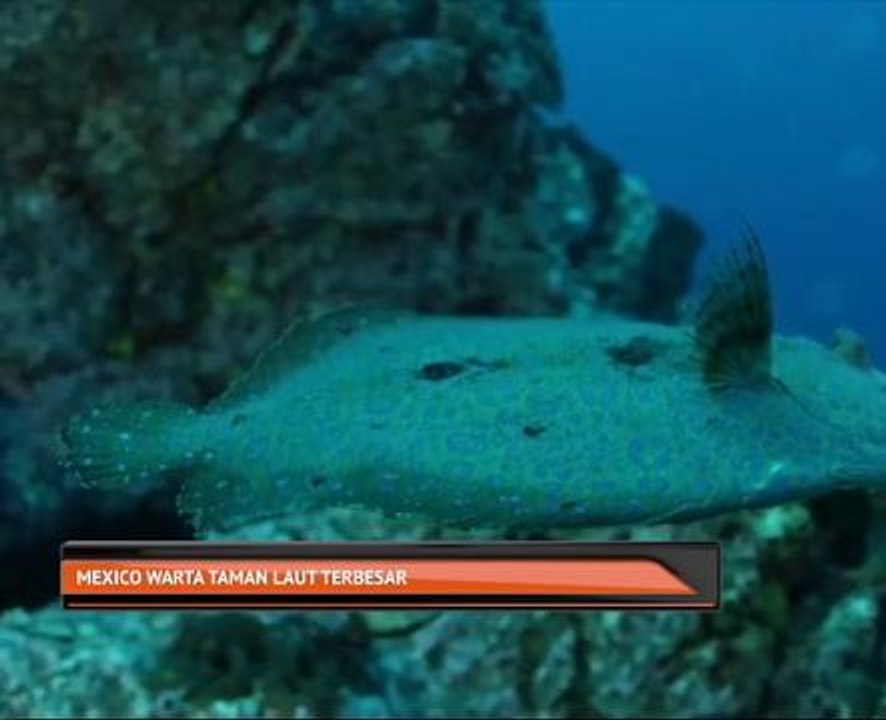 Mexico warta taman laut terbesar