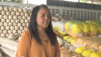 Niaga Kini: Bantal kekabu Kuala Kangsar bakal tembusi pasaran Asia