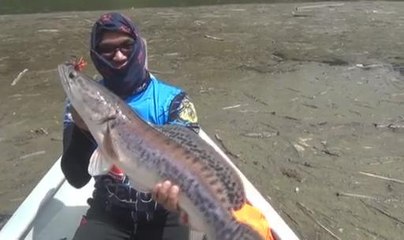 Randuk: Memburu si pemburu