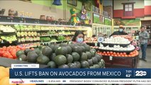 U.S. lifts ban on avocados from Mexico