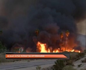 40 ekar hutan musnah dalam kebakaran