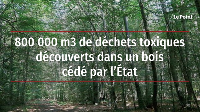 800 000 m3 de déchets toxiques découverts dans un bois cédé par l'Etat