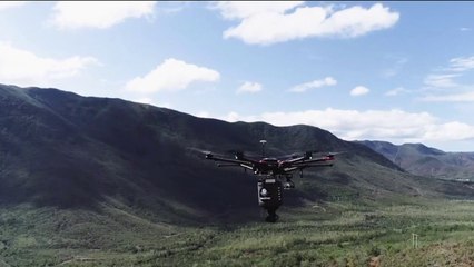 Fenêtre sur l'Outre-mer - Nouvelle-Calédonie : un drone au service de la nature